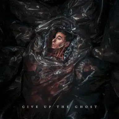 Give Up The Ghost