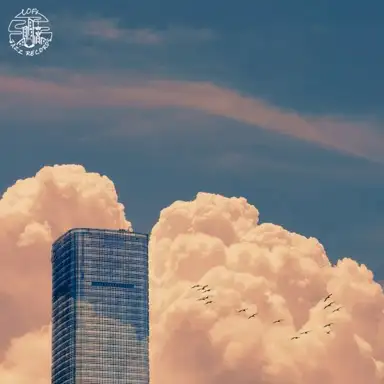 City Whispers