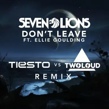 Don't Leave (Tiësto vs Twoloud remix)