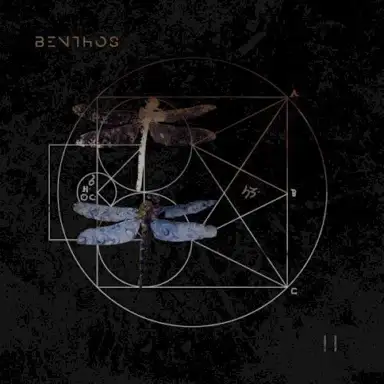 Debris // Essence