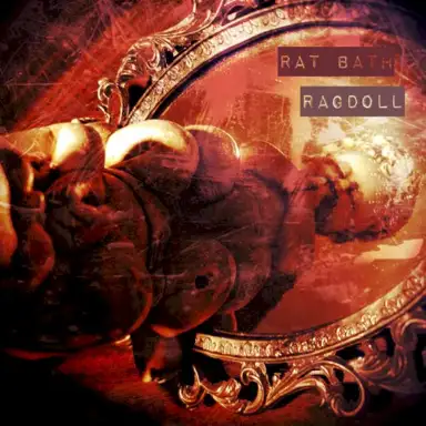 Ragdoll