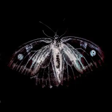 BestiaIRE