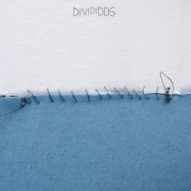 Divididos