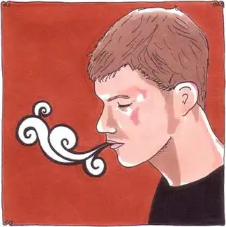 Daytrotter Session