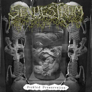 Pickled Preservation