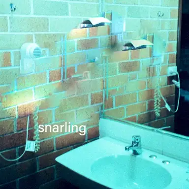 Snarling