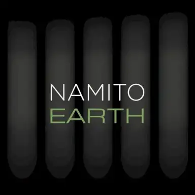 25 Years Nam - EARTH