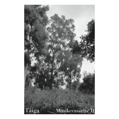 Musikecassette II