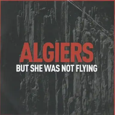 But She Was Not Flying