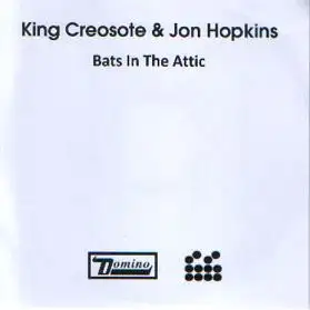 Bats in the Attic