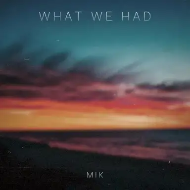 What We Had