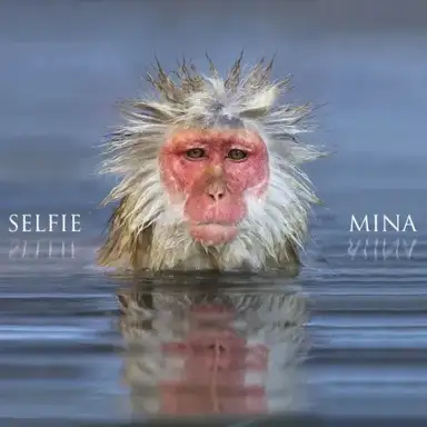 Selfie