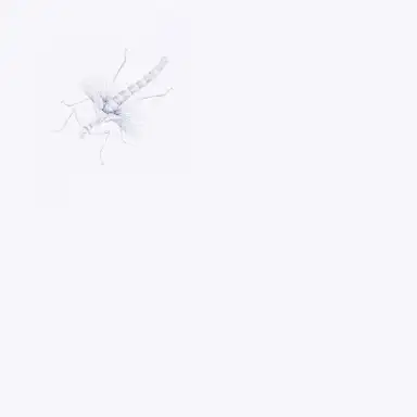 Entomologists