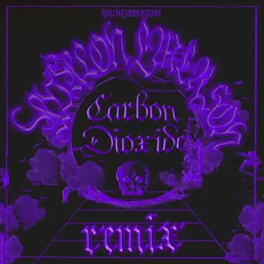 Carbon Dioxide (Avalon Emerson remix)