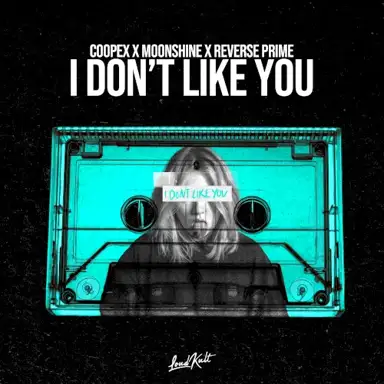 I Don't Like You