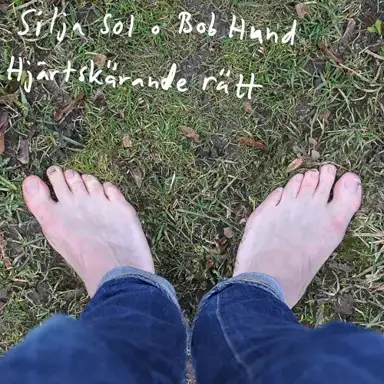 Hjärtskärande rätt