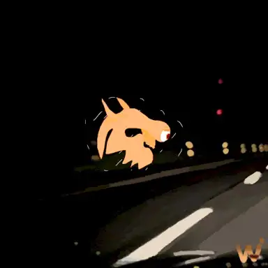 careful! / out there