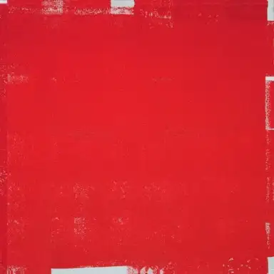 Tocotronic (Das rote Album)