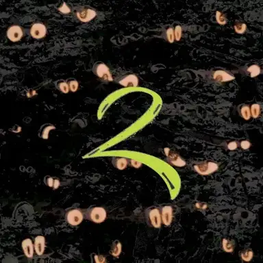 S&F2