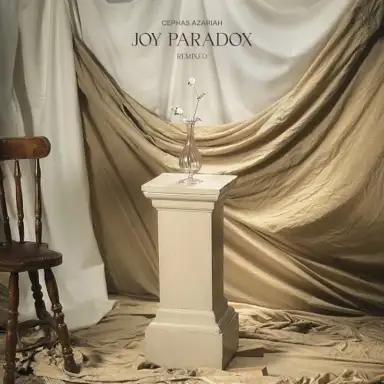 Joy Paradox (Remixed)