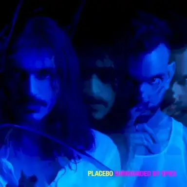 Surrounded by Spies