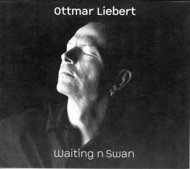 Waiting n Swan