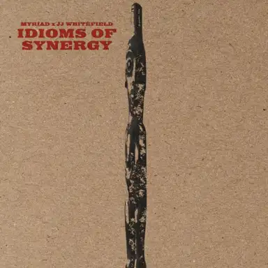 Idioms of Synergy