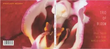 Trio of Bloom