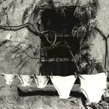 Preda dei venti