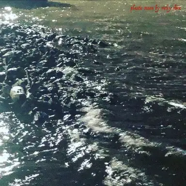 Plastic Ocean