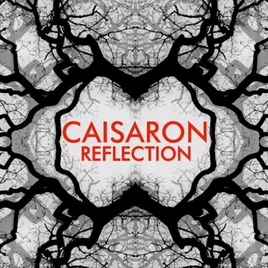 Reflection