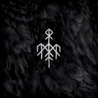 Kvitravn