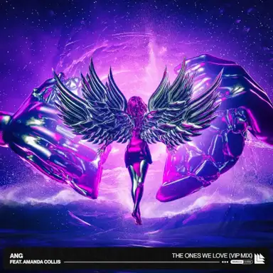The Ones We Love (VIP mix)