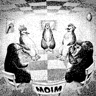 MOIM