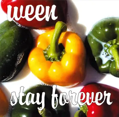 Stay Forever