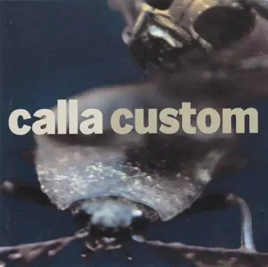 Custom