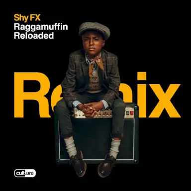 Too Shy (Breakage remix)