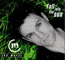 Fall Into the Sun
