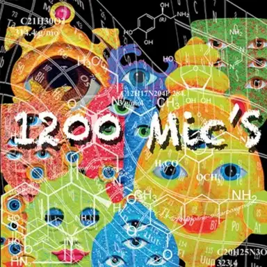 1200 Mic’s