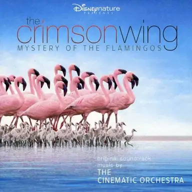 The Crimson Wing: Mystery of the Flamingos