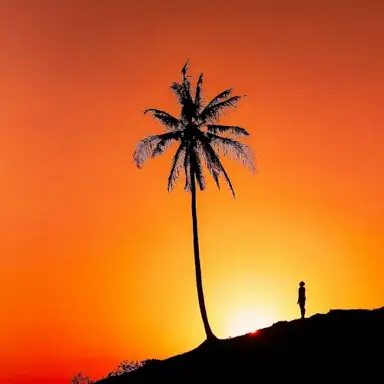 Fiji