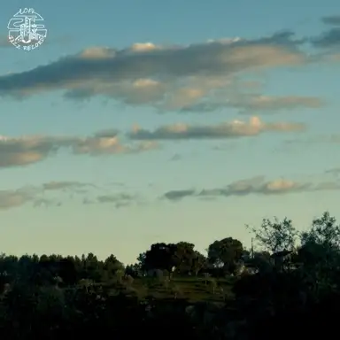 Early Light