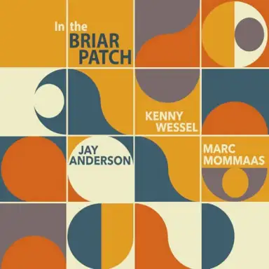In the Briar Patch