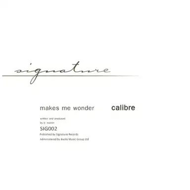 Makes Me Wonder / Got To Have You