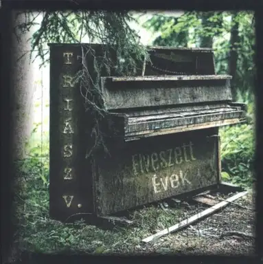 Triász V. - Elveszett évek