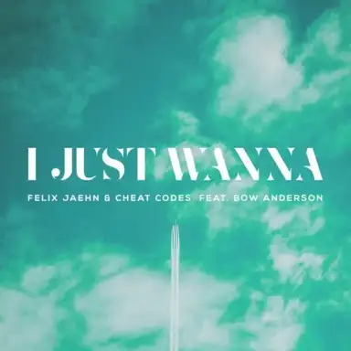 I Just Wanna