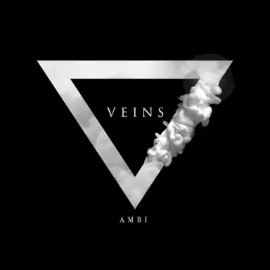 Ambi