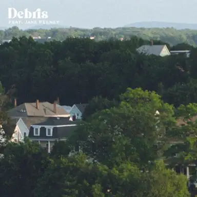 Debris