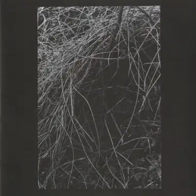 Nest