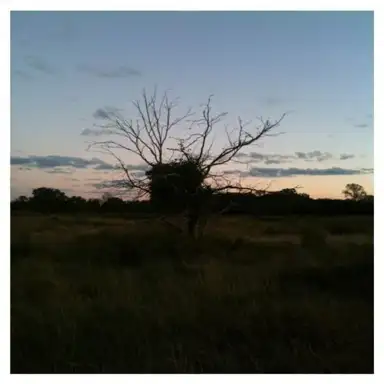 An Autumn Cassette or Leaves Will Bloom, Leaves Will Fall Long After We Are Gone